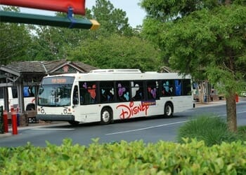 Disney World Transit Bus