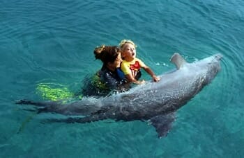 autistic child with dolphin seaworld orlando