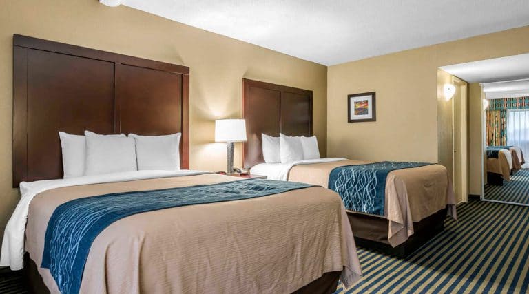 Comfort Inn Orlando Hotel Lake Buena Vista Room 2 beds 2