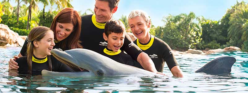 Discovery Cove Orlando Section Cover