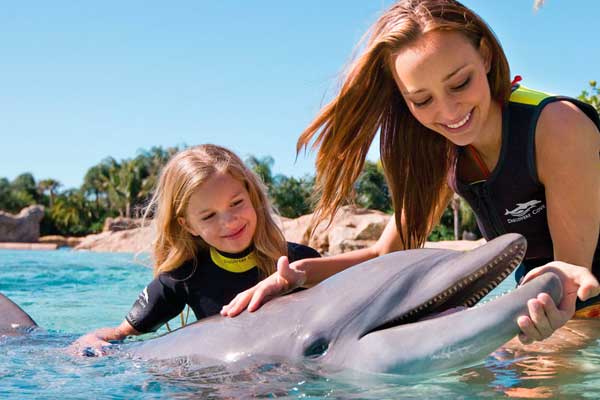 Dolphin Lagoon Discovery Cove Orlando