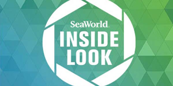 SeaWorld Orlando Inside Look