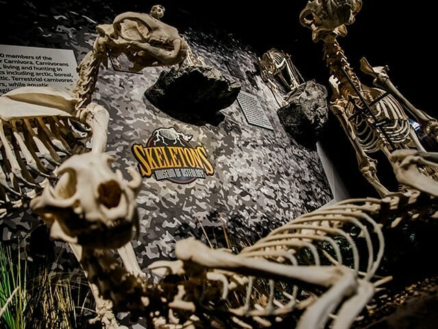 SKELETONS Museum Orlando attractions