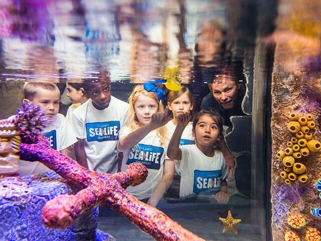 Sea Life Kids with Habitat Orlando attractions