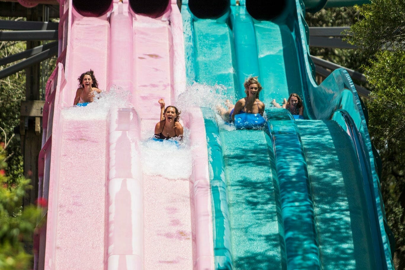 Adventure Island Tampa Bay Waterpark Slides