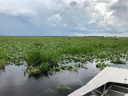 Beautiful View from Airboat