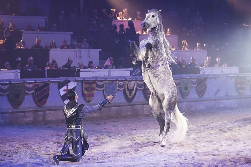 Medieval Times Horse Jump