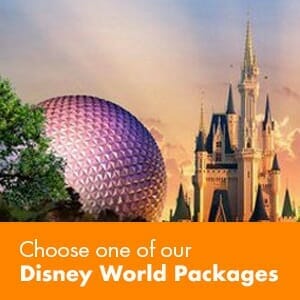 Choose one of our Disney World Packages