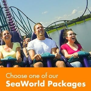 Choose one of our SeaWorld packages