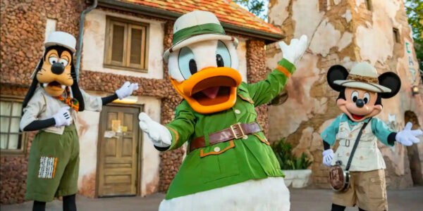 Donald Duck in Disney World