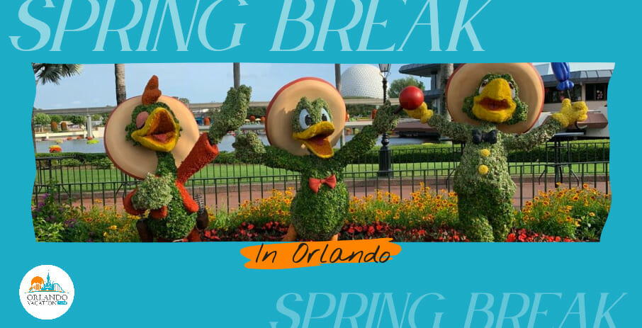 things to do in orlando for spring break