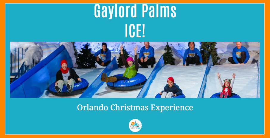 things to do in orlando at christmas gaylord palms